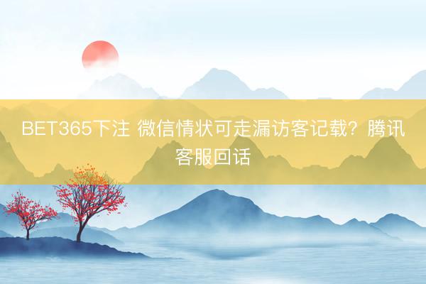 BET365下注 微信情状可走漏访客记载？腾讯客服回话