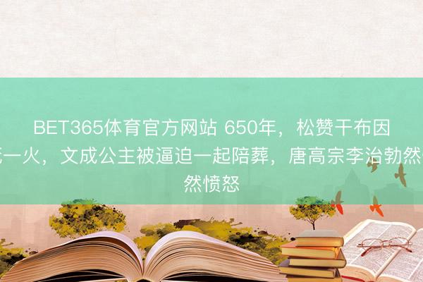 BET365体育官方网站 650年，松赞干布因病死一火，文成公主被逼迫一起陪葬，唐高宗李治勃然愤怒