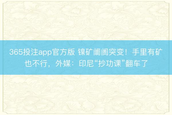 365投注app官方版 镍矿阛阓突变!手里有矿也不行,外媒:印尼“抄功课”翻车了
