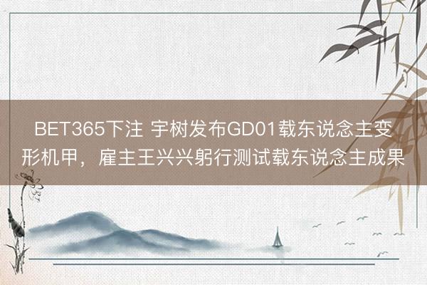 BET365下注 宇树发布GD01载东说念主变形机甲，雇主王兴兴躬行测试载东说念主成果