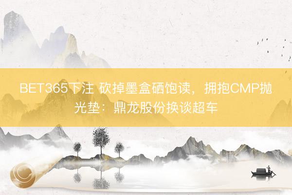 BET365下注 砍掉墨盒硒饱读，拥抱CMP抛光垫：鼎龙股份换谈超车