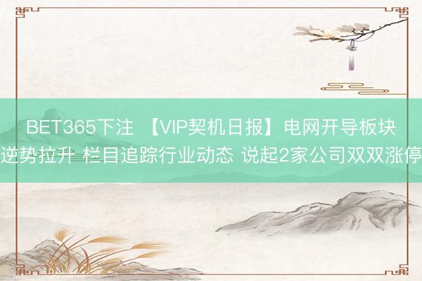 BET365下注 【VIP契机日报】电网开导板块逆势拉升 栏目追踪行业动态 说起2家公司双双涨停