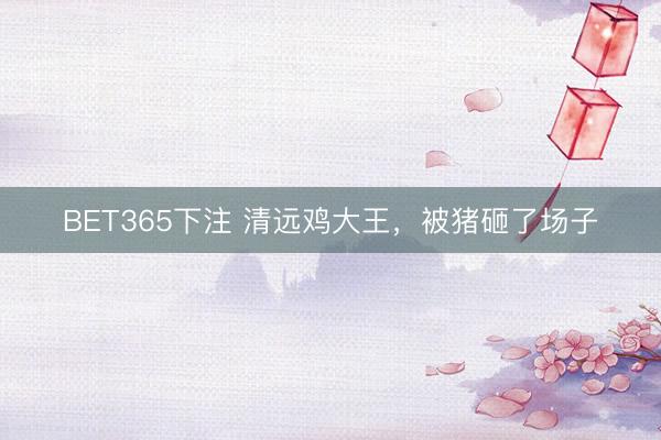 BET365下注 清远鸡大王，被猪砸了场子