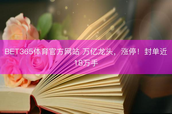 BET365体育官方网站 万亿龙头,涨停!封单近18万手