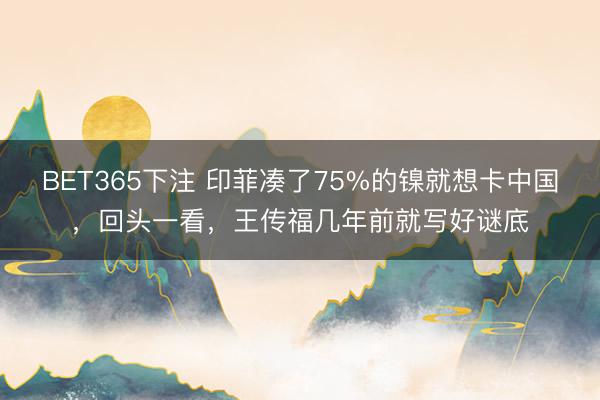 BET365下注 印菲凑了75%的镍就想卡中国，回头一看，王传福几年前就写好谜底