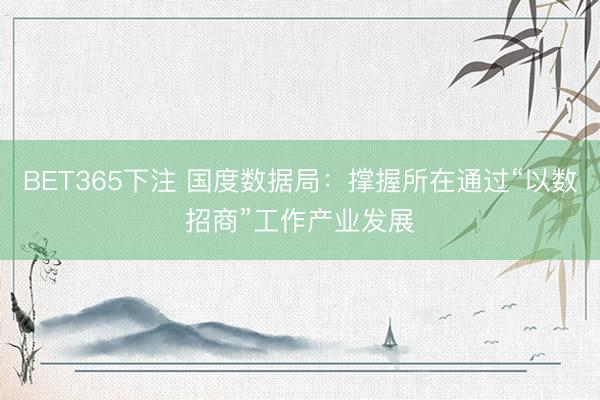 BET365下注 国度数据局:撑握所在通过“以数招商”工作产业发展