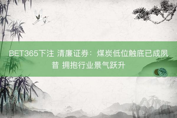 BET365下注 清廉证券:煤炭低位触底已成夙昔 拥抱行业景气跃升