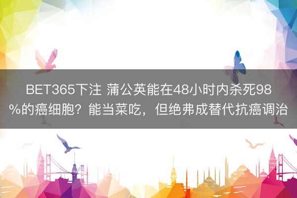 BET365下注 蒲公英能在48小时内杀死98%的癌细胞？能当菜吃，但绝弗成替代抗癌调治