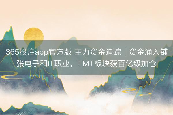 365投注app官方版 主力资金追踪|资金涌入铺张电子和IT职业,TMT板块获百亿级加仓