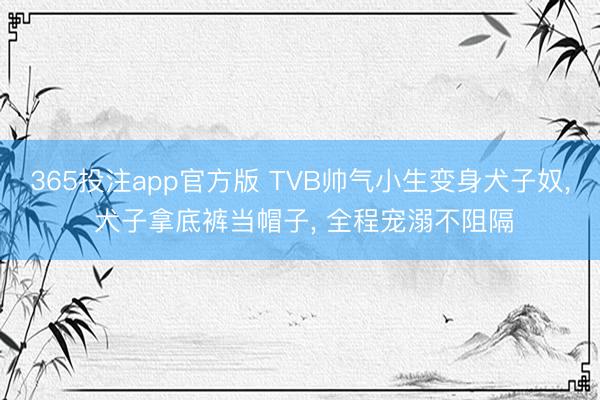 365投注app官方版 TVB帅气小生变身犬子奴, 犬子拿底裤当帽子, 全程宠溺不阻隔