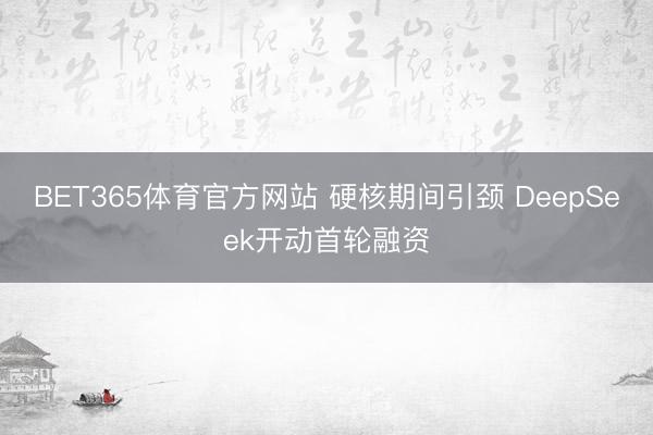 BET365体育官方网站 硬核期间引颈 DeepSeek开动首轮融资