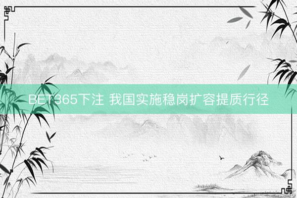 BET365下注 我国实施稳岗扩容提质行径