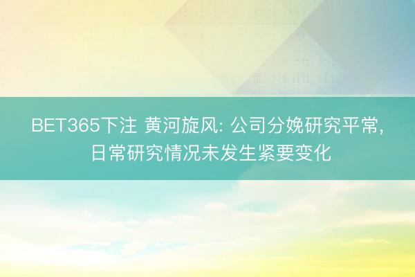 BET365下注 黄河旋风: 公司分娩研究平常， 日常研究情况未发生紧要变化