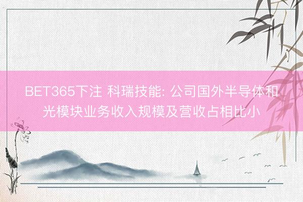 BET365下注 科瑞技能: 公司国外半导体和光模块业务收入规模及营收占相比小