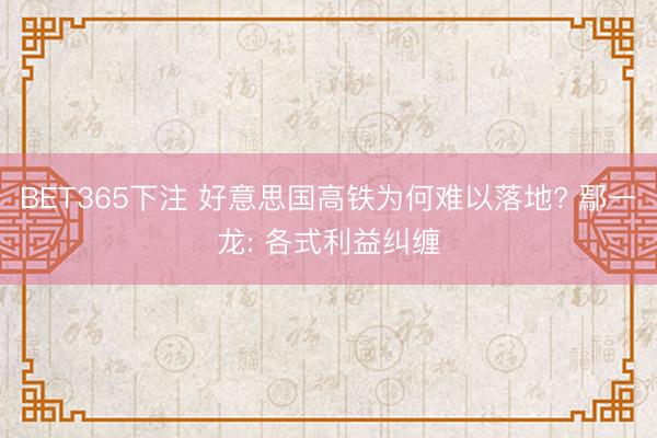 BET365下注 好意思国高铁为何难以落地? 鄢一龙: 各式利益纠缠