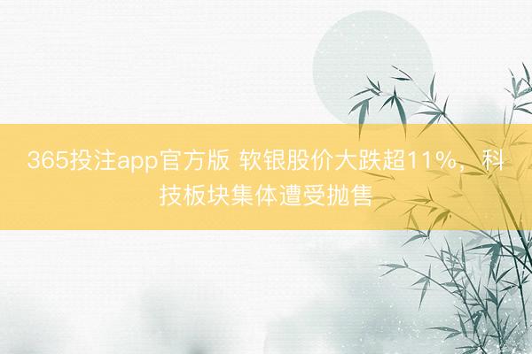 365投注app官方版 软银股价大跌超11%，科技板块集体遭受抛售
