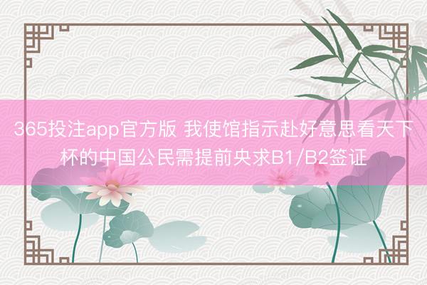 365投注app官方版 我使馆指示赴好意思看天下杯的中国公民需提前央求B1/B2签证