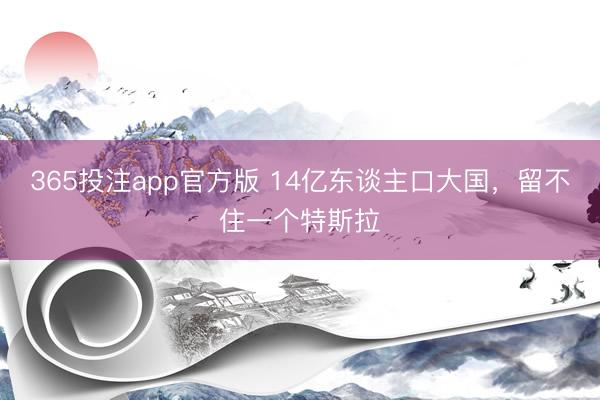 365投注app官方版 14亿东谈主口大国，留不住一个特斯拉