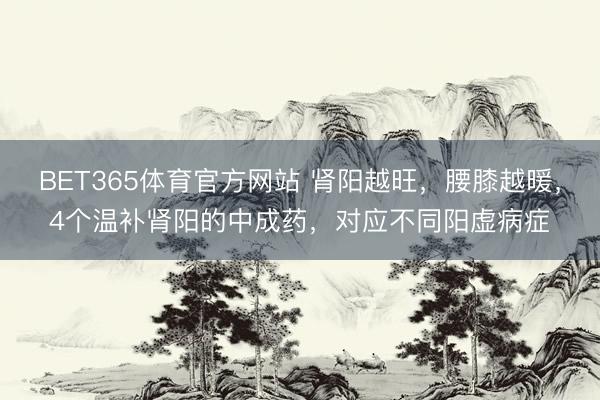 BET365体育官方网站 肾阳越旺，腰膝越暖，4个温补肾阳的中成药，对应不同阳虚病症