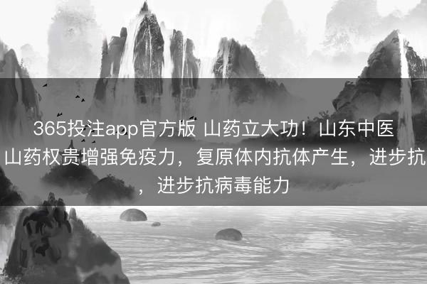 365投注app官方版 山药立大功!山东中医药大学:山药权贵增强免疫力,复原体内抗体产生,进步抗病毒能力