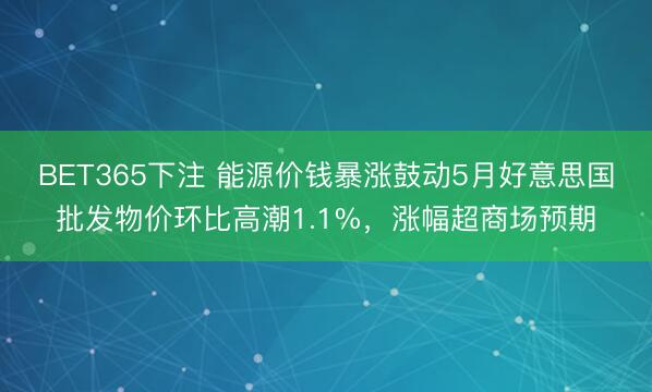 BET365下注 能源价钱暴涨鼓动5月好意思国批发物价环比高潮1.1%，涨幅超商场预期