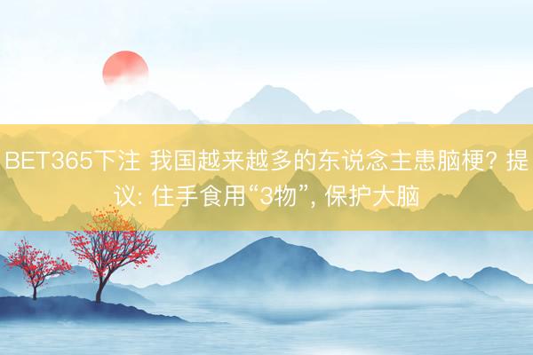 BET365下注 我国越来越多的东说念主患脑梗? 提议: 住手食用“3物”, 保护大脑