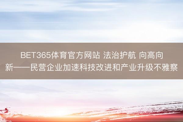 BET365体育官方网站 法治护航 向高向新——民营企业加速科技改进和产业升级不雅察