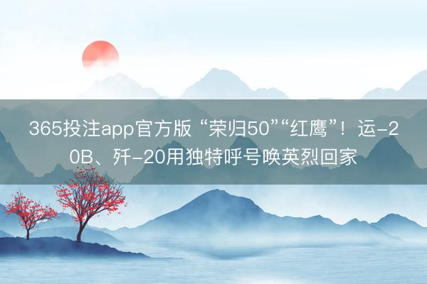 365投注app官方版 “荣归50”“红鹰”！运-20B、歼-20用独特呼号唤英烈回家