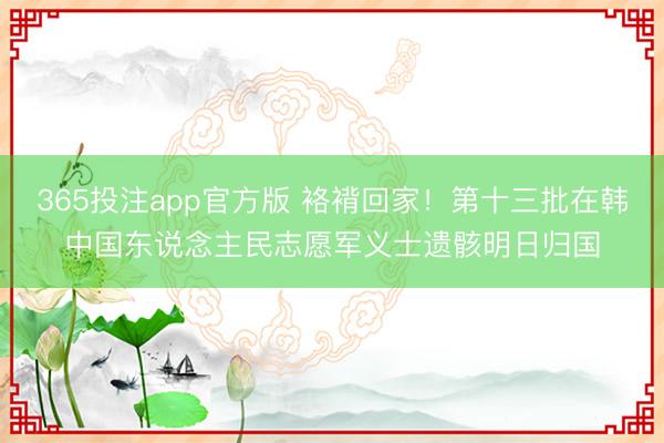 365投注app官方版 袼褙回家！第十三批在韩中国东说念主民志愿军义士遗骸明日归国