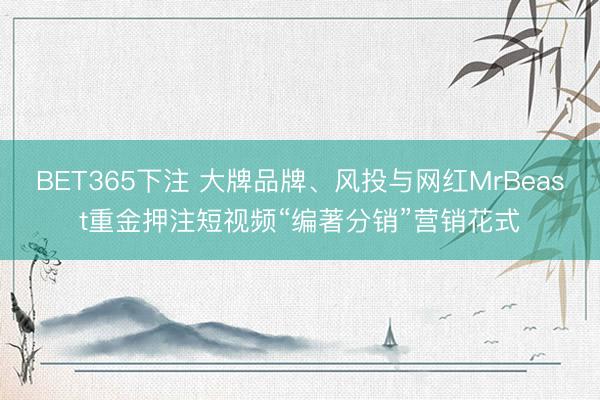 BET365下注 大牌品牌、风投与网红MrBeast重金押注短视频“编著分销”营销花式